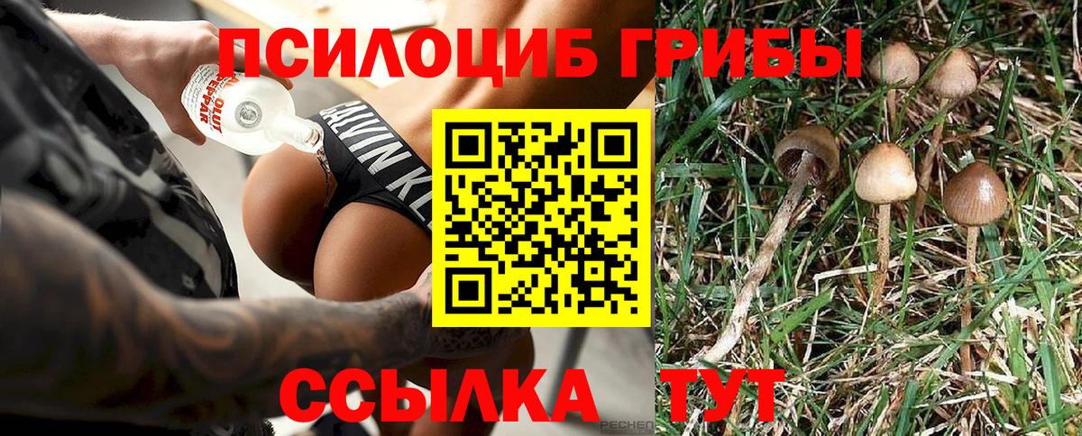 Псилоцибиновые грибы MAGIC MUSHROOMS Назарово